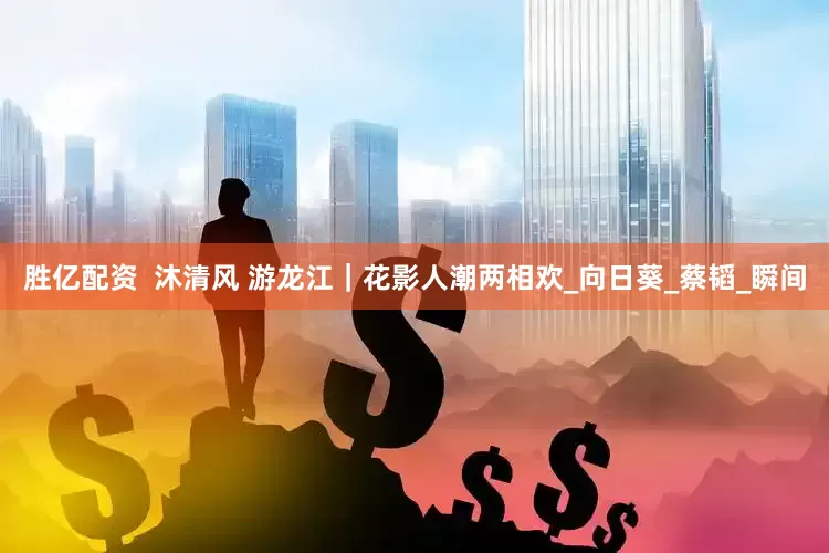 胜亿配资  沐清风 游龙江｜花影人潮两相欢_向日葵_蔡韬_瞬间