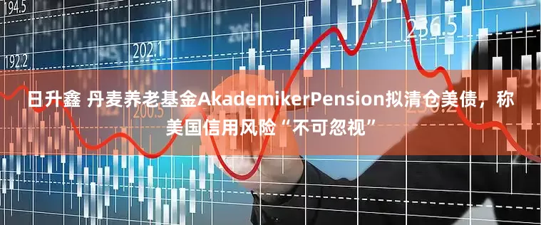 日升鑫 丹麦养老基金AkademikerPension拟清仓美债，称美国信用风险“不可忽视”