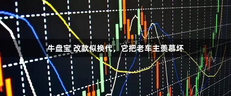 牛盘宝 改款似换代，它把老车主羡慕坏